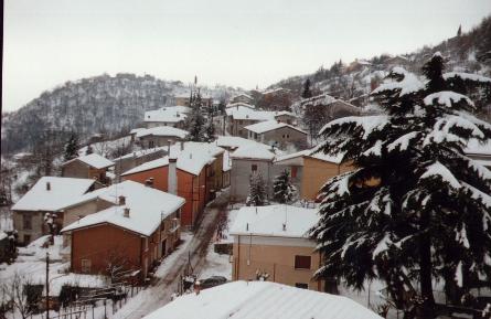 Nevicata vista dal Campanile di San Gallo