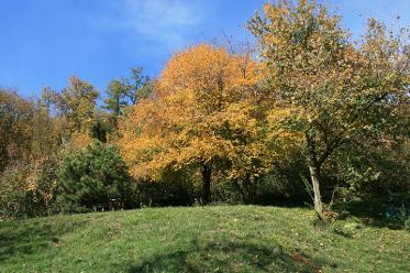 Autunno A San Gallo